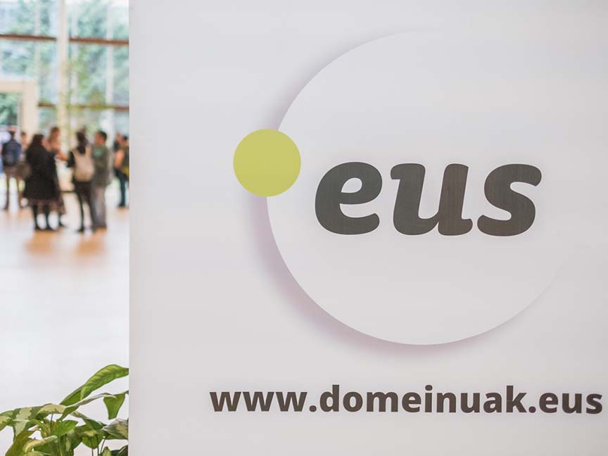 The domain market in the Basque Country: business keys and opportunities